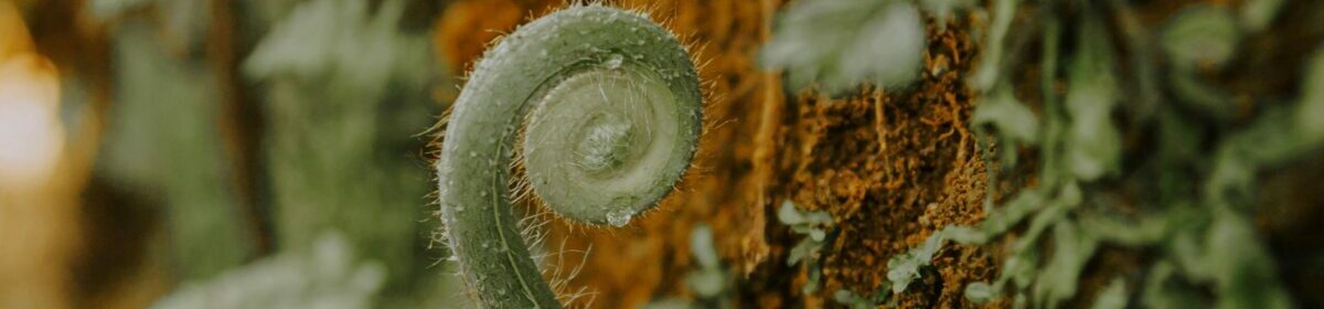 Pascaline Lebot Conseil en Naturopathie